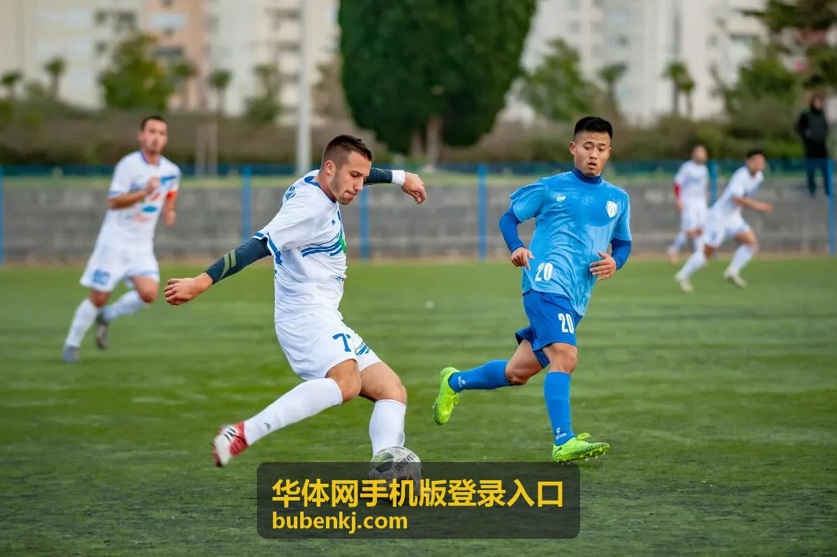 华体网手机版登录入口手机号验证码登录示意
